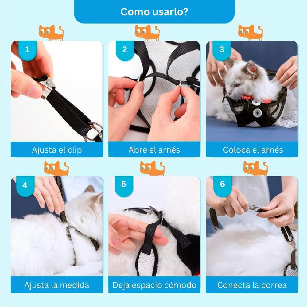 Arnés Ajustable Para Perro Y Gato Con Correa Negra Talla M img #4