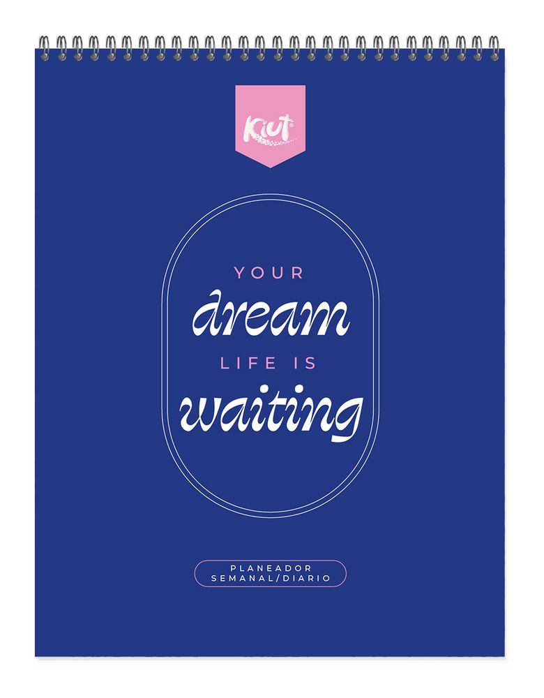 Planeador Kiut 2027 Dream KIUT img #1