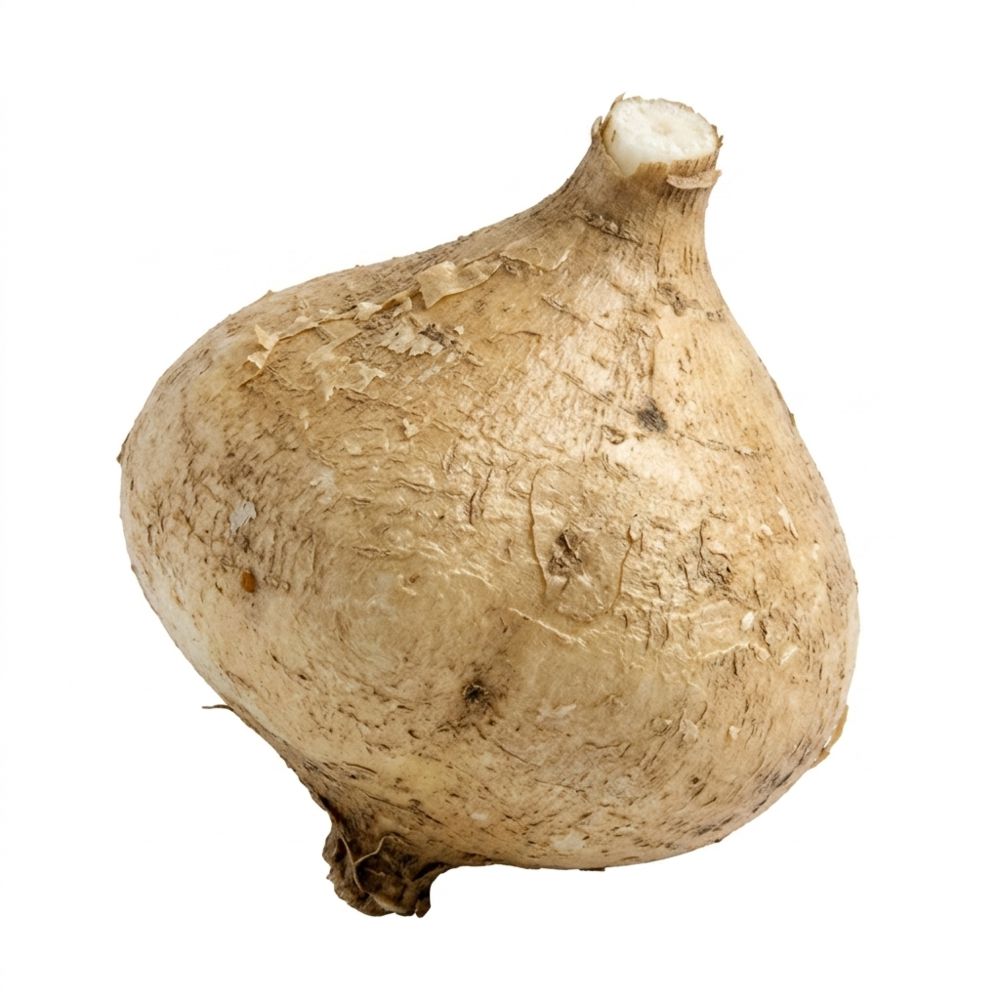 PIPILANGA img #1