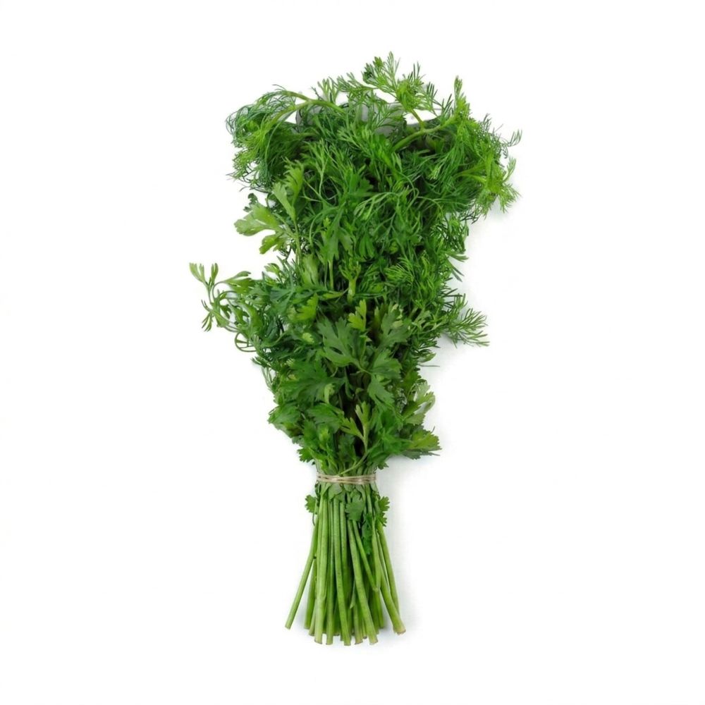 CILANTRO ORGANICO  150  gr img #1