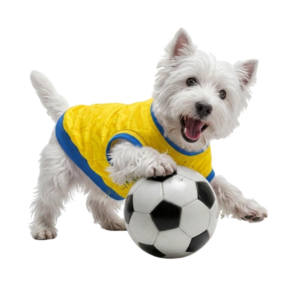 Camiseta Colombia Perro img #2