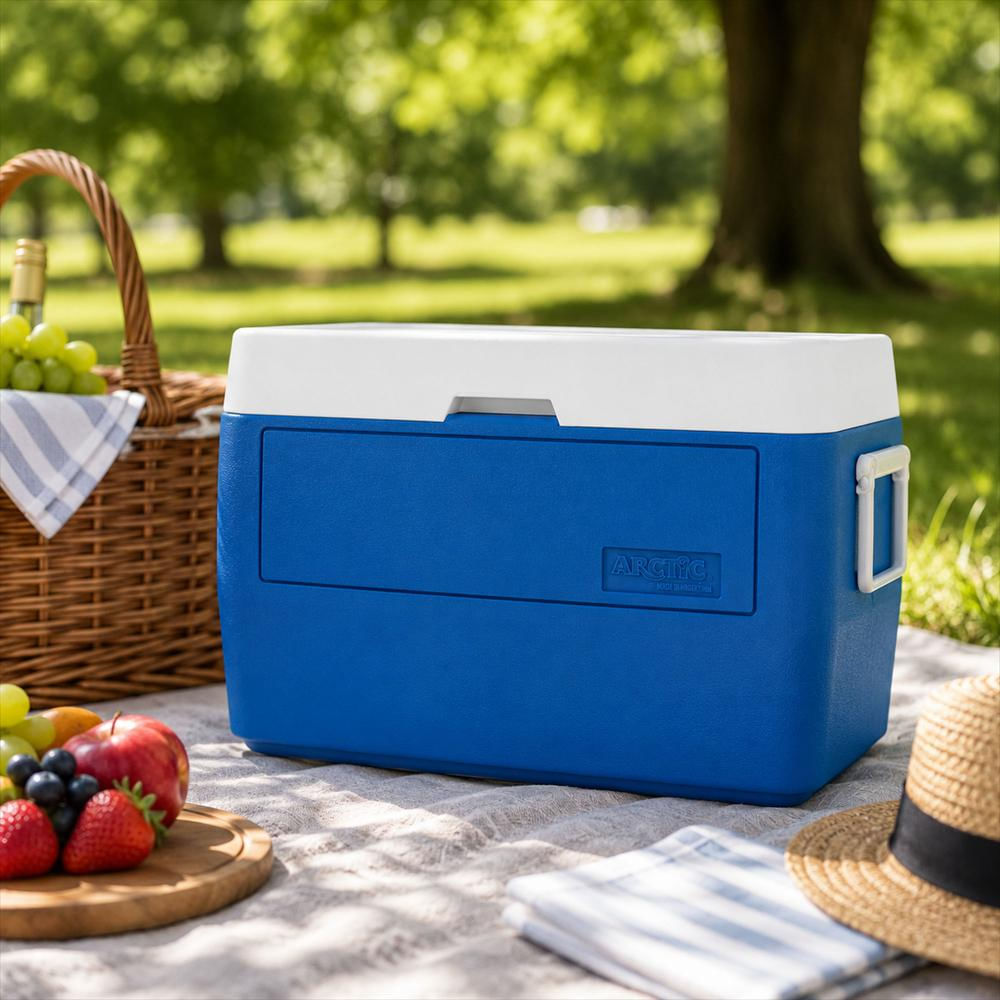 Nevera Cava 46L Artic Mcs 48Q Cava Azul img #2