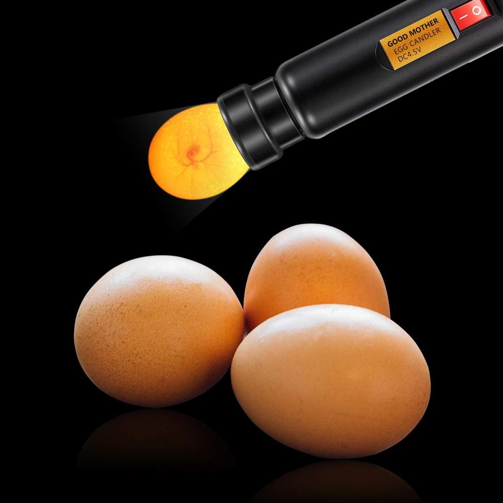 Set De 6 Ovoscopios Led Magicfly Para Incubadoras De Huevos img #3