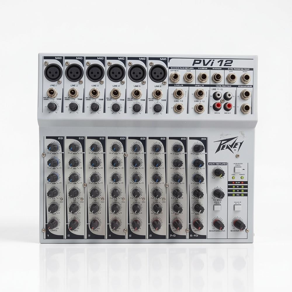 Mixer De 12 Canales Pvi12 img #1