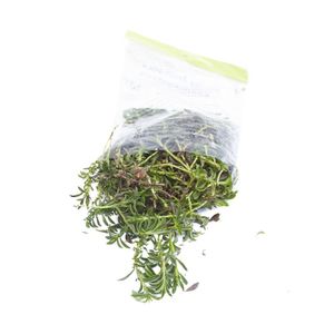 OREGANO BOLSA 50 gr