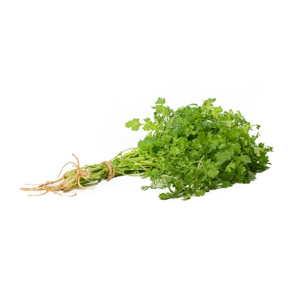 Cilantro Bolsa  50  gr img #1