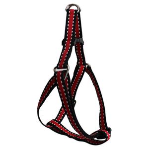 Accesorios arnés EXITO MARCA PROPIA grande ajustable (1 und)