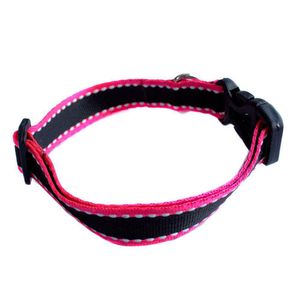 Collar para mascotas EXITO MARCA PROPIA grande (1 und)