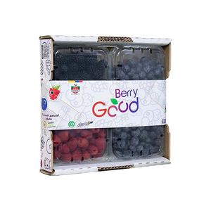 Caja Mix x 4 Berries 660 gr