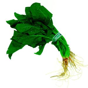 Espinaca unidad kosher TAEQ 300 gr