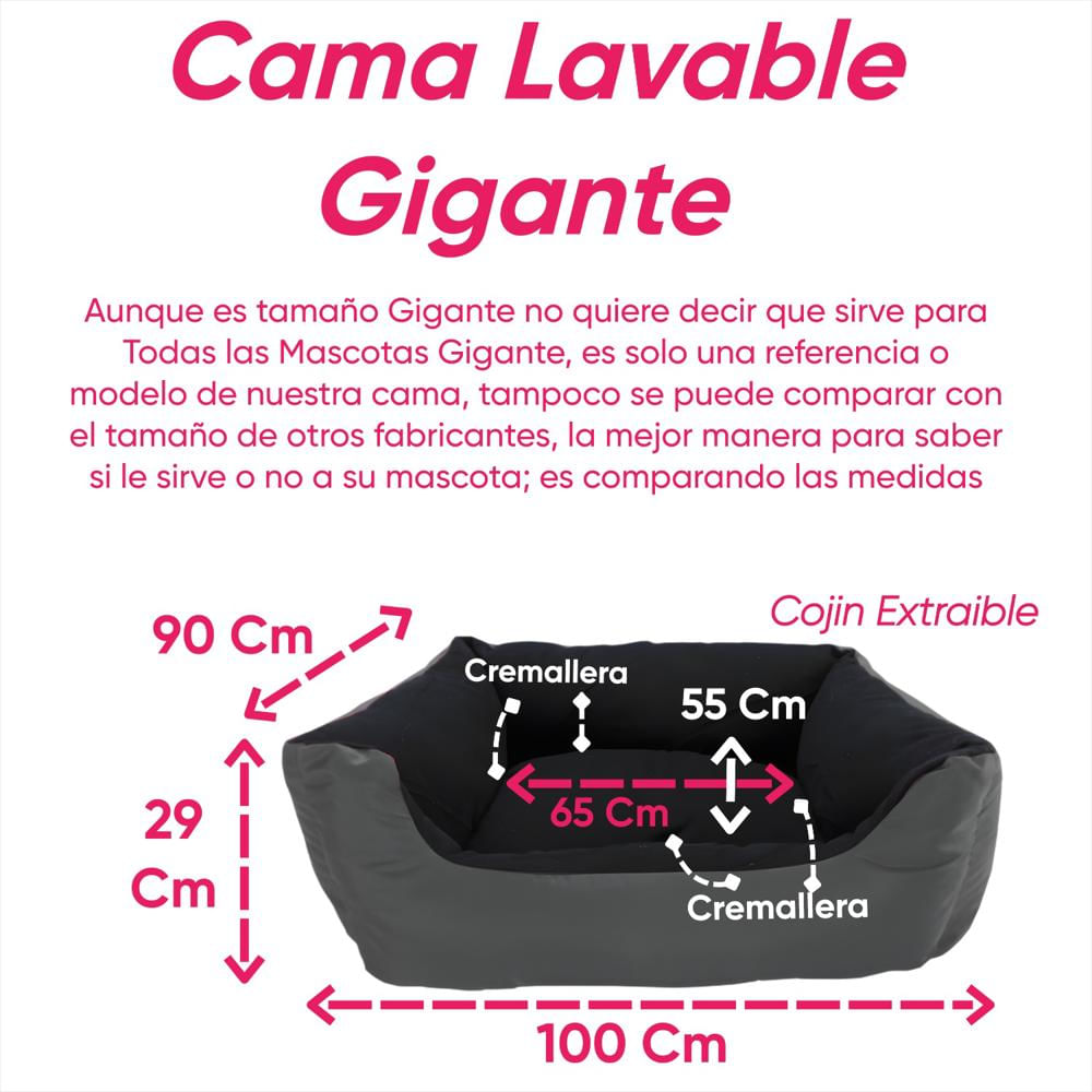 Cama Lavable Gigante Celeste img #2