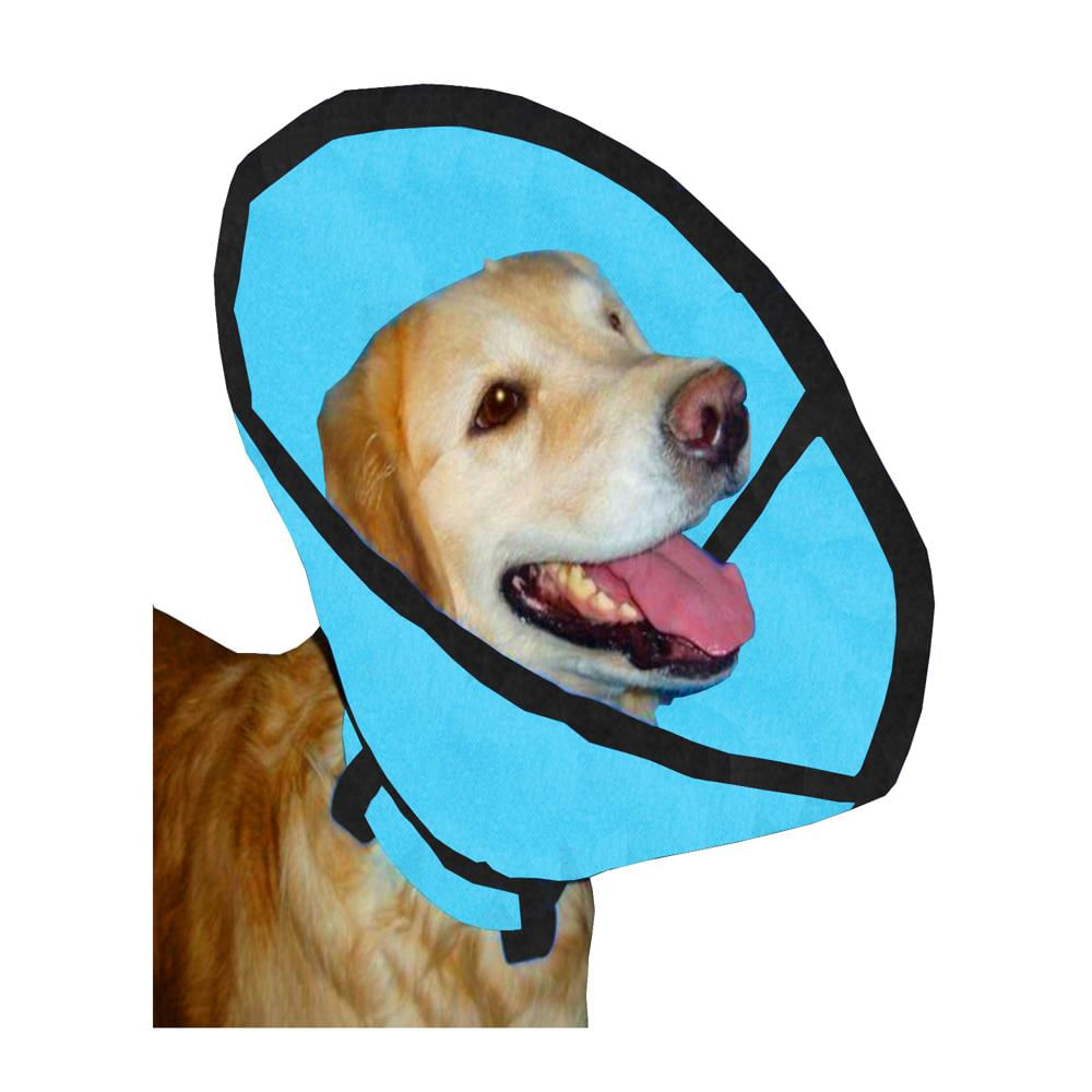 Collar Isabelino Talla S Celeste img #1