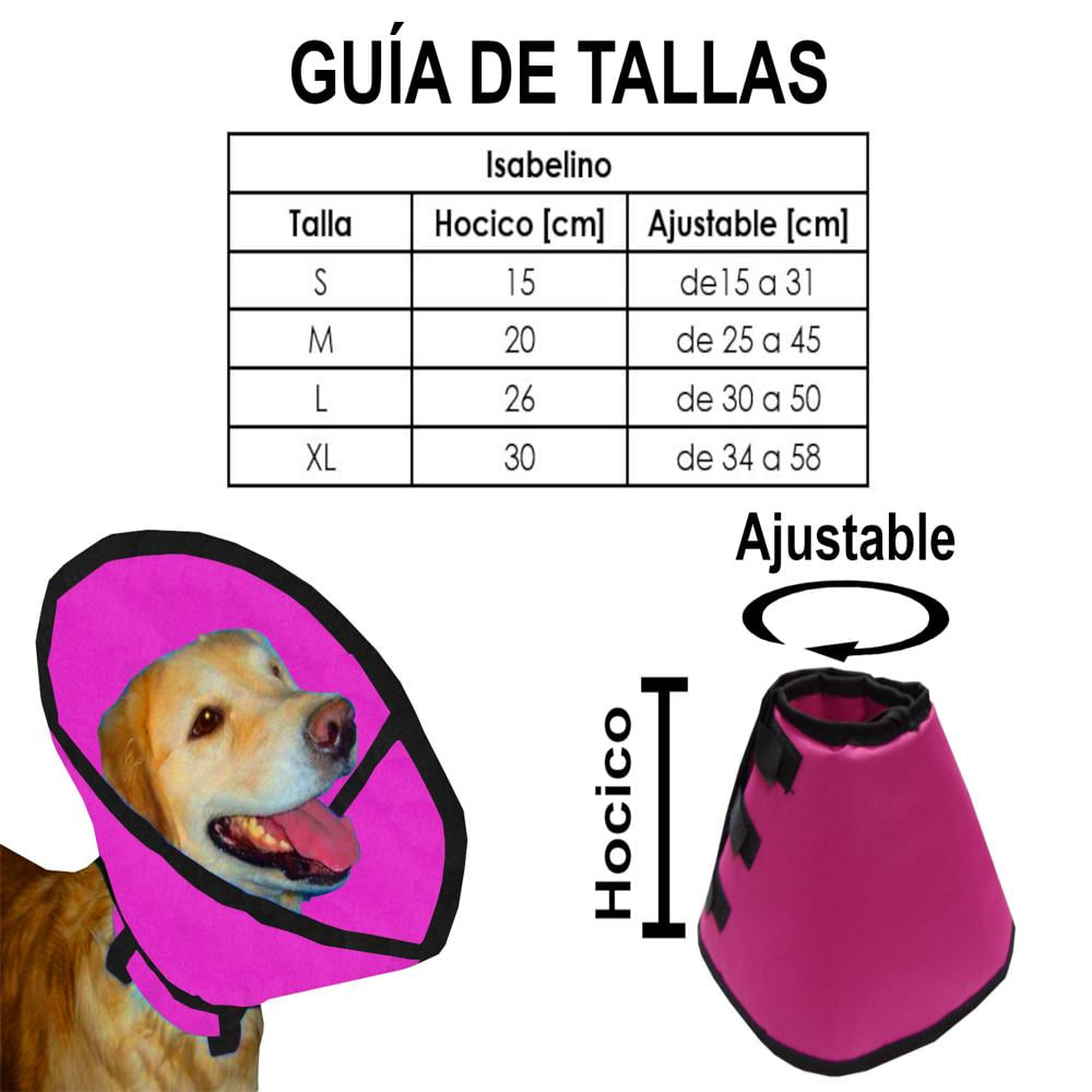 Collar Isabelino Talla S Celeste img #2