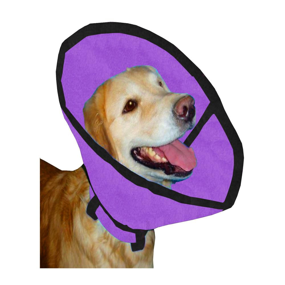 Collar Isabelino Talla S Morado img #1