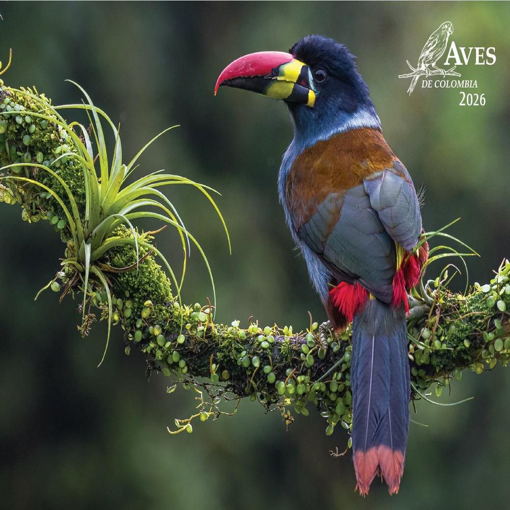 Calendario Pared Aves COMUNICAN SIN REF img #1