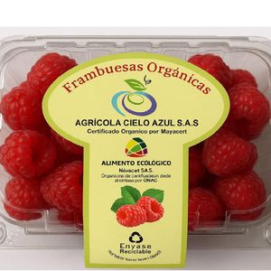 Frambuesa Orgánica 125 gr