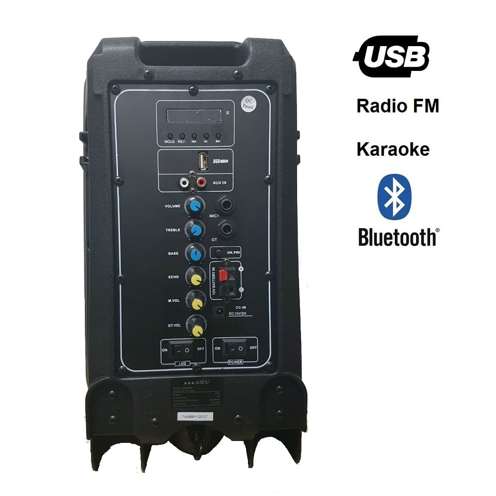 Parlante A Ds Tw08bp 40W Karaoke + Micrófono Negro img #2