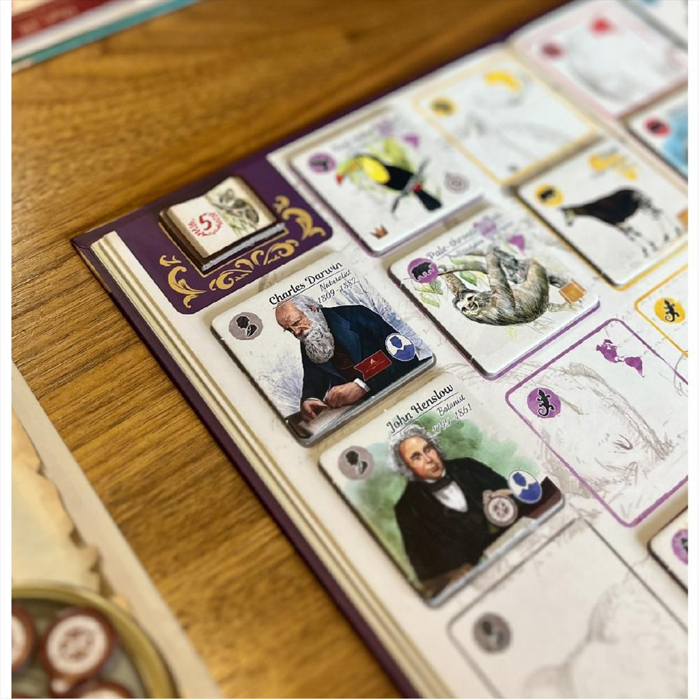 Juego De Mesa Tras Los Pasos De Darwin img #3