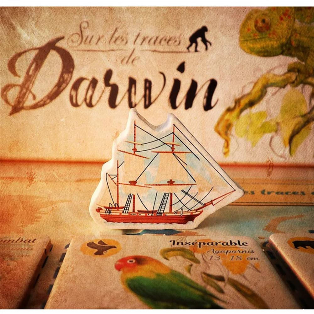 Juego De Mesa Tras Los Pasos De Darwin img #4
