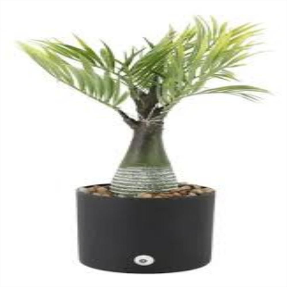 Palmera Artificial Decorativa En Maceta img #1