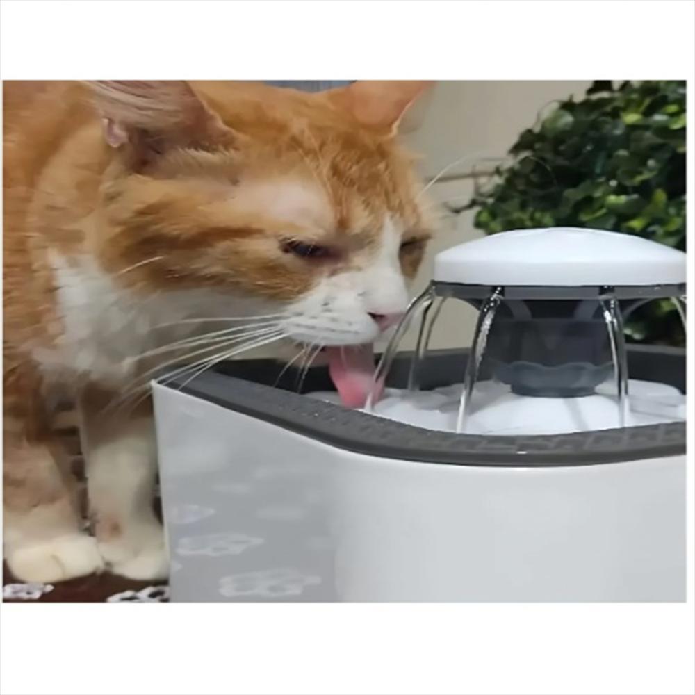 Bebedero Para Gatos img #2