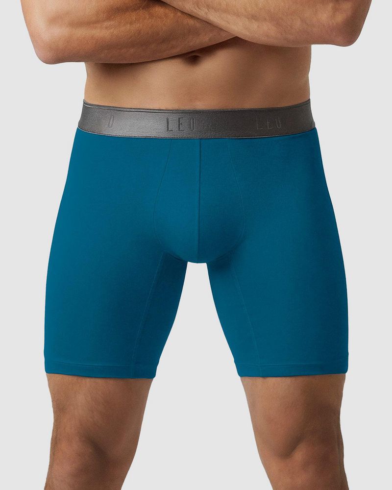 BOXER  LEO img #1