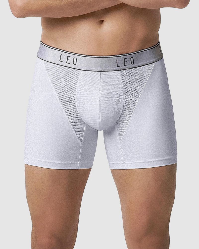 BOXER  LEO img #1