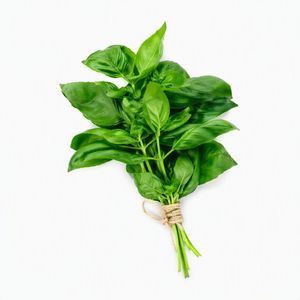 Albahaca 50 gr