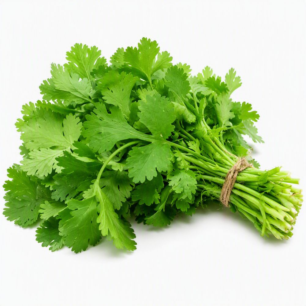Cilantro  50  gr img #1