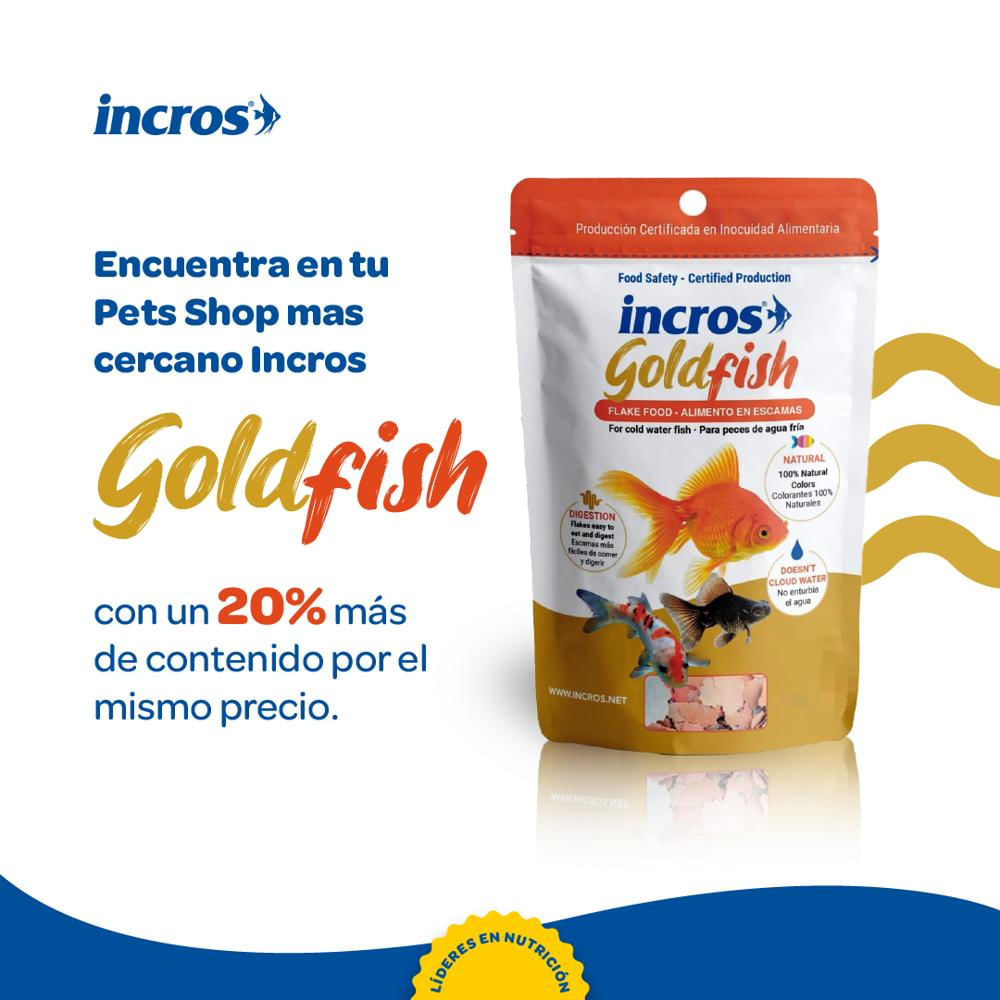 Goldfish 1K img #2
