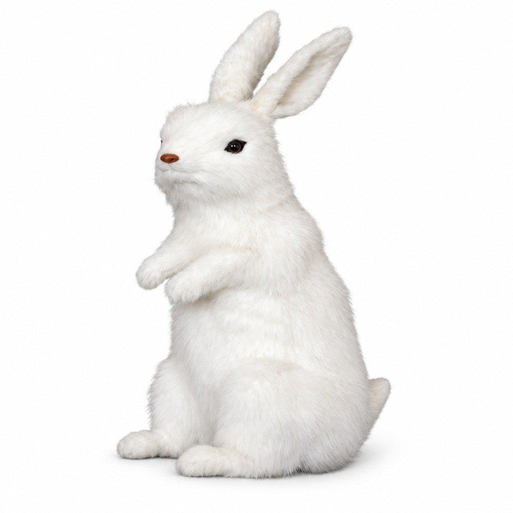 Conejo Blanco A72 Cm Sm img #1