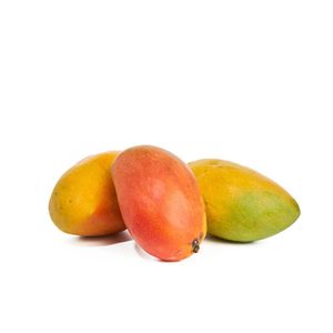 Mango Yulima