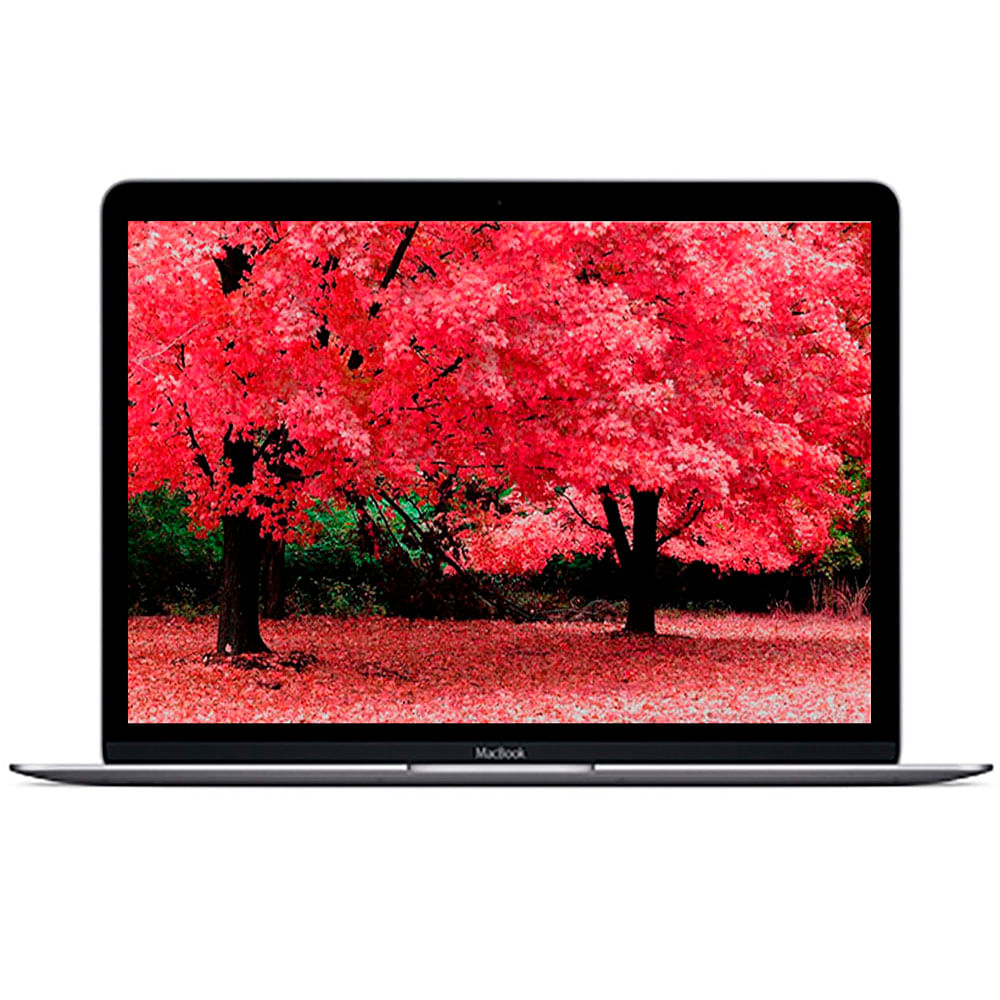 Portátil Apple Macbook Mf855e-A Intel Core M 12 Pulgadas img #1