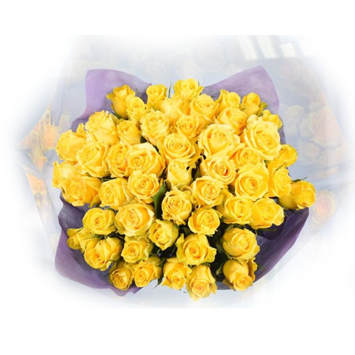 ROSAS 40cm 48 TALLOS LARGE  SIN REFER img #1