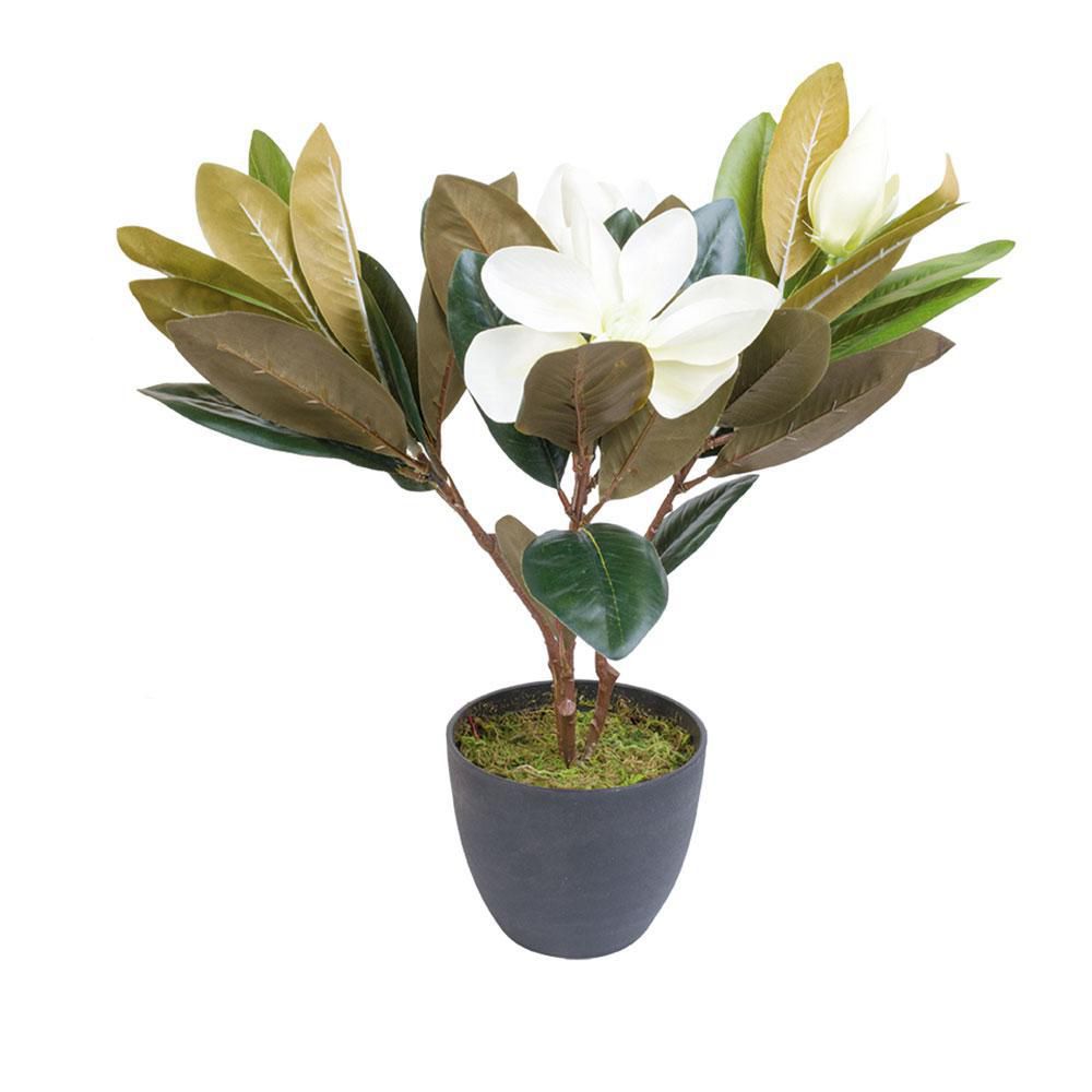 LIRIO MAGNOLIA EN MACETA 45 CM AMBIENTE GOURMET MARCA EXCLUSI 10399 img #1